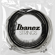 IBANEZ IEBS6C