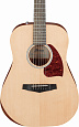 IBANEZ PF15JR-OPN