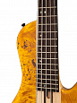 Cort A5-Plus-SC-AOP Artisan Series