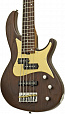 ARIA 313-BB/5