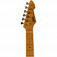 PEAVEY Raptor Custom MRG