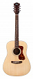 GUILD D-240E Limited