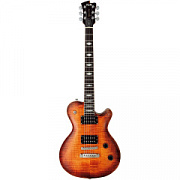 Expert Flame EFL-FM-R VV
