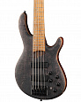 CORT B5-Element-OPTB Artisan Series