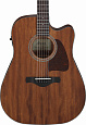 IBANEZ AW247CE-OPN