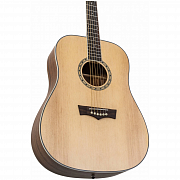 PEAVEY DW-2 w/Case