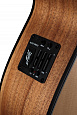 Maton EBG808