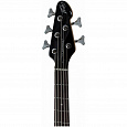 PEAVEY Milestone 5 Plus Black
