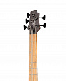 CORT B5-Element-OPTB Artisan Series