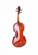Strunal 333w-4/4