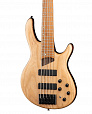 Cort B5-Element-OPN Artisan Series