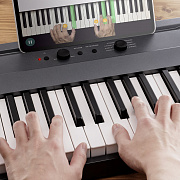 KORG L1 MG