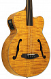 ARIA FEB-F2/FL STBR