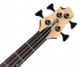 Cort Artisan Series