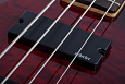 SCHECTER C-4 PLUS STCHB