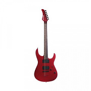 Fernandes RXX06 MTR