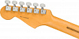 FENDER American PRO II Stratocaster RW Dark Night