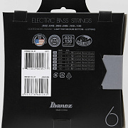 IBANEZ IEBS6C