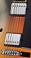 IBANEZ AF75 BS