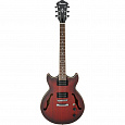IBANEZ AM53-SRF