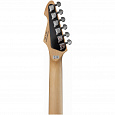 PEAVEY Raptor Custom CLB