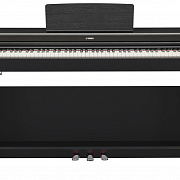 YAMAHA YDP-164B
