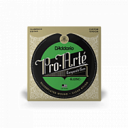 D`ADDARIO EJ25C