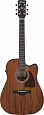 IBANEZ AW247CE-OPN