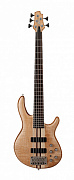 Cort A5-Plus-FMMH-OPN Artisan Series