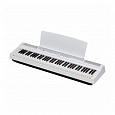 YAMAHA P-121WH