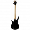 PEAVEY Milestone 5 Plus Black