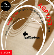 GALLI STRINGS AGP1253