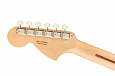 FENDER American Performer Timber Stratocaster 2-Color Sunburst