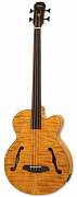 ARIA FEB-F2/FL STBR