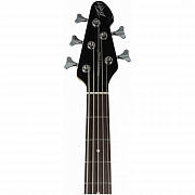 PEAVEY Milestone 5 Black