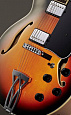 IBANEZ AF75 BS