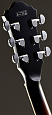 IBANEZ AF75 BS