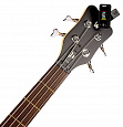 PLANET WAVES PW-CT-17BK