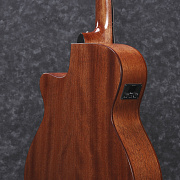 IBANEZ AEG200-LGS