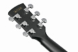 IBANEZ AW1040CE-WK