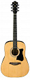 IBANEZ V50NJP NATURAL
