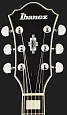 IBANEZ AF75 BS
