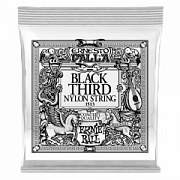 ERNIE BALL P01513