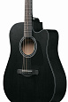 IBANEZ AW1040CE-WK