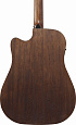 IBANEZ AW247CE-OPN