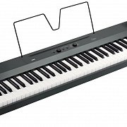 KORG L1 MG