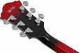IBANEZ AF75-TRS