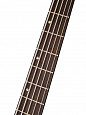 Cort A5-Plus-SC-AOP Artisan Series
