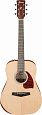 IBANEZ PF15JR-OPN
