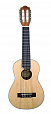 FLIGHT GUT 350 SP/SAP